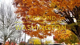 Redmond Washington  Living in Redmond  Seattle [upl. by Weslee900]