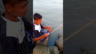 নদী থেকে অবশেষে চিংড়ি মাছটা ধরেছে। River fishing। fishing। shrimp fishing [upl. by Fonsie]