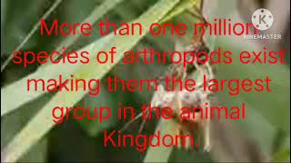 Arthropods educationknowledgereelssubscribetrendingviralvideosforyou Twins0109 knowledge [upl. by Moynahan]