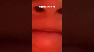 Nostril to eye [upl. by Nicole]