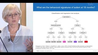 Autism Spectrum Disorder in Infants and Toddlers [upl. by Tenn240]