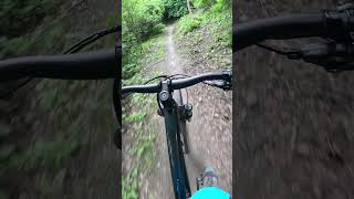 Besten Kicker auf dem Harzer Roller bikepark Bodetal mtb bike downhill mtblife enduro jump [upl. by Freiman]