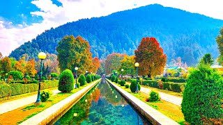 Kashmir Series I Part 27 I Verinag Spring Mughal Garden 3 I 2023 I Autumn in Kashmir [upl. by Ydaf]