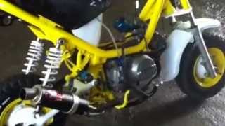 modified yamaha chappy 2 stroke to 4stroke [upl. by Derej]