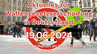 Aktuelles zur Waffengesetzverschärfung in Deutschland VDB Livestream am 25062024 Teil 1 [upl. by Marcille]