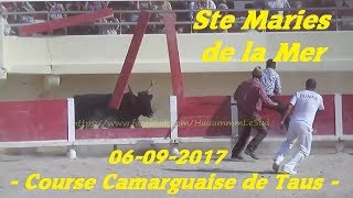 Ste Maries de la MerTausCourse Camarguaise06092017 [upl. by Anelle]