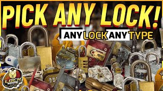 Pick EVERY Type of Lock [upl. by Aynuat]