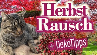 HERBSTDEKO 2022  Rosen WINTERFEST machen  Hochstammrosen [upl. by Ayhdnas]