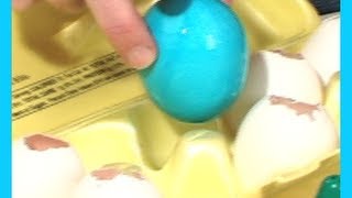 Easter Egg Ideas How to Make Cascarones [upl. by Anilef253]