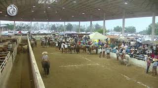 Campeonato Diamante Final Caladero [upl. by Aihsrop]