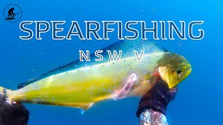 Spearfishing NSW 5 2019 [upl. by Obeng]