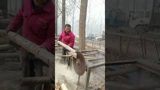 Easy fast and efficient way to cut tree branches [upl. by Tyson]