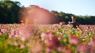 Beleef de AVogel tuinen met onze tuinmannen Joost en Frans [upl. by Nobel46]