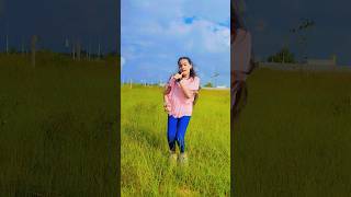 Gulabi saree youtubeshorts dance dancemusic song reels [upl. by Pinette]