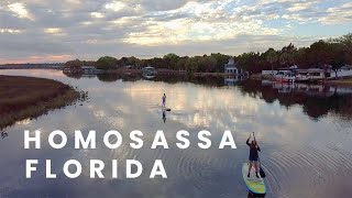 Homosassa Springs Drone Footage [upl. by Eiten]