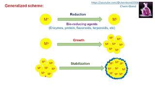 Synthesis of Nanoparticles biological methods [upl. by Sivrup]