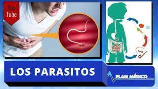 Conociendo más sobre Los Parasitos y Las Enfermedades parasitarias en Plan Medico de Cachicha Tv12 [upl. by Shivers]