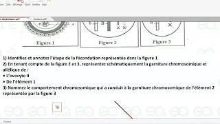 SVT  Brassage de linformation génétique Application [upl. by Notlehs444]