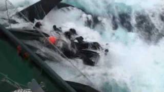 Sea Shepherd vessel Ady Gil collides with the Japanese whaler Shonan Maru II [upl. by Sonya]