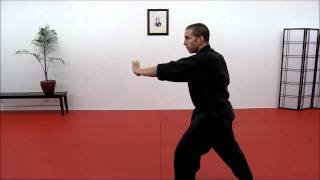 CASA DE KENPO  American Kenpo  Form 6 Demo [upl. by Firooc]