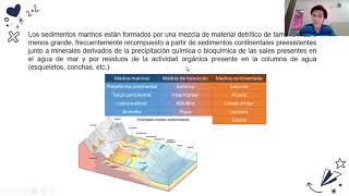 Yacimientos Sedimentarios [upl. by Anawal352]