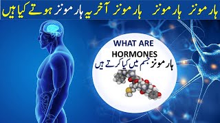 Hormones  What are Hormones amp Their Function in body UrduHindi  Hormones kaisy kam karty hain [upl. by Cohdwell]