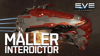 Maller Interdictor  The THICCTOR  EVE Echoes [upl. by Aracat]