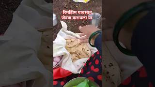 जेवण करायला बसलो तर पाऊस सुरू झाला 🌨️ shortvideo gavakadachicomedy viralvideo ब्लाग [upl. by Hesky]