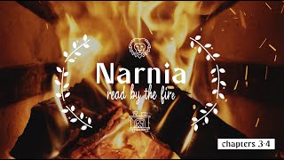 Narnia Read by the Fire Chapters 3 amp 4 [upl. by Eannaj]