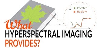 What Hyperspectral Imaging provides  Tutorial [upl. by Aneerak]