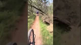 MTB Trails biker mtblovers automobile bicycle mtb bikelover mountainbike jump mtbbike [upl. by Androw255]