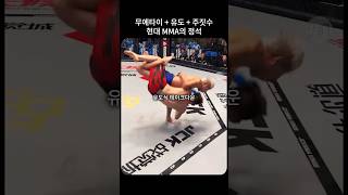 플라잉니킥  유도식 테익다운  주짓수 완벽한 MMA의 정석 [upl. by Albarran]