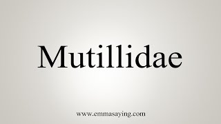 How To Say Mutillidae [upl. by Carolina]