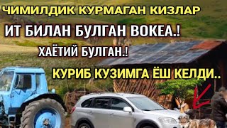 ЧИМИЛДИҚ КУРМАГАН ҚИЗЛАР ИТ БИЛАН БУЛГАН ВОҚЕА ХАММА КУРСИНERTAKCI BOBO [upl. by Brittain]