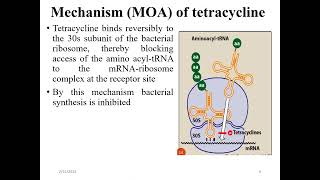 Antibiotics that inhibit protein synthesis Molecular biology [upl. by Anattar]