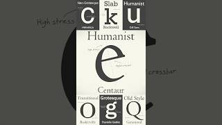 The Evolution of Humanist Fonts A Journey Through History [upl. by Meli]