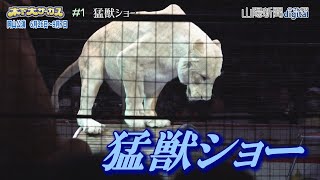 【1 猛獣ショー】ときめき夢テント－木下大サーカス岡山公演 [upl. by Van]