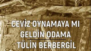 Ceviz Oynamaya mı Geldin Odama  Tülin Berbergil Aman Aman Olmuyor [upl. by Arne91]