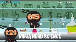 Welcome to Ninja Nerd Science [upl. by Geno]