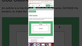 CSS for Dummies 04  CSS Outline Property EXPLAINED css csstutorial shorts [upl. by Jasik228]