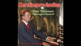 Peter Wildeman Siefertorgel te Emmerich 2 [upl. by Edan]