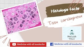 4 Les Tissus Cartaligaineux  Histologie 1ère MED [upl. by Sharpe670]