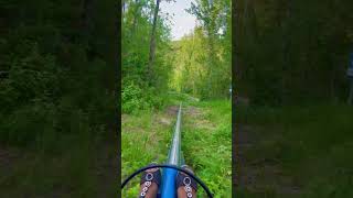 Alberta Alpine Coaster the Canyon Coaster canada nature coaster reddeer alpinecoaster travel [upl. by Nahtannoj429]