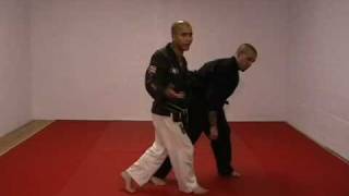 CASA DE KENPO  BROWN BELT  DECEPTIVE PANTHER [upl. by Wat174]