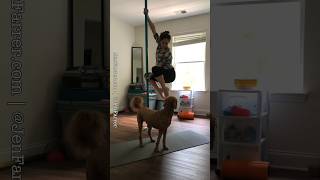 Morning in our life 🤗 ditl minivlog morningmotivation morningvibes dogmom polefitness [upl. by Attennyl]