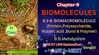 Biomolecules part 2 class 11 theory from NCERT in Bengali Harunbiozone [upl. by Mead495]