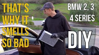 How to Change Cabin Air Filter on BMW 3 and 4 Series SedanCoupeConvertible FSeries [upl. by Zoha]