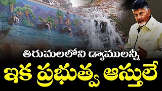 తిరుమల లోని డ్యాం లన్నీ ఇక ప్రభుత్వ ఆస్తులే NageshSiriyapuraju ttd tirumalatirupati tirumala [upl. by Louanna]