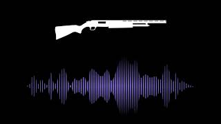 Shotgun Gunfire and Reload Sound Effect [upl. by Anaimad]