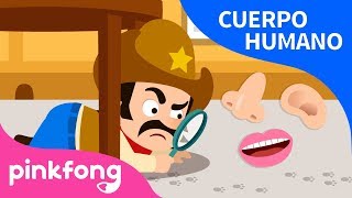 Cinco Sentidos  Cuerpo Humano  Pinkfong Canciones Infantiles [upl. by Weinert]